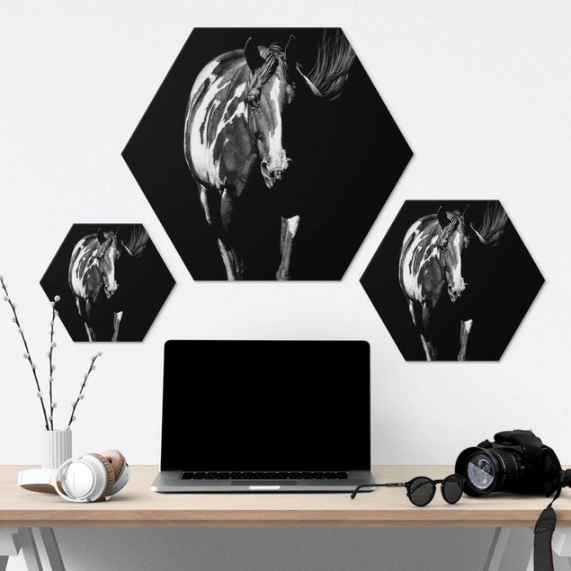 Hexagons Aluminium Dibond schilderijen Horse In The Dark