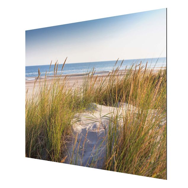 Aluminium Dibond schilderijen Beach Dune At The Sea