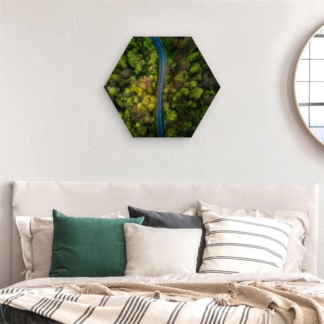 Hexagons houten schilderijen Aerial View - Asphalt Road In The Forest
