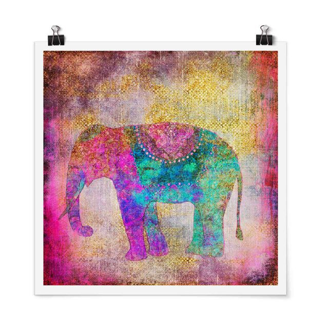 Posters Colourful Collage - Indian Elephant