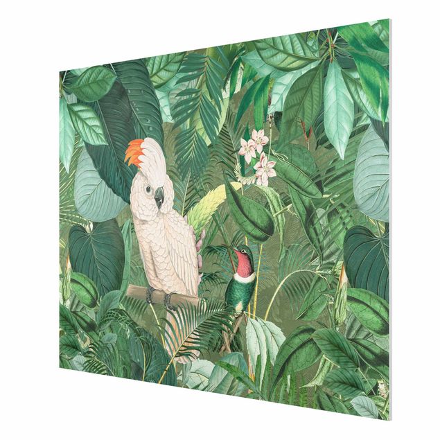 Forex schilderijen Vintage Collage - Kakadu And Hummingbird