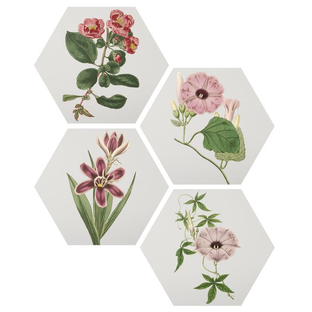 Hexagons Forex schilderijen - 4-delig Floral Jewelry Set I