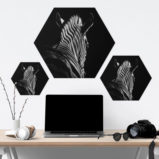 Hexagons Forex schilderijen Dark Zebra Silhouette