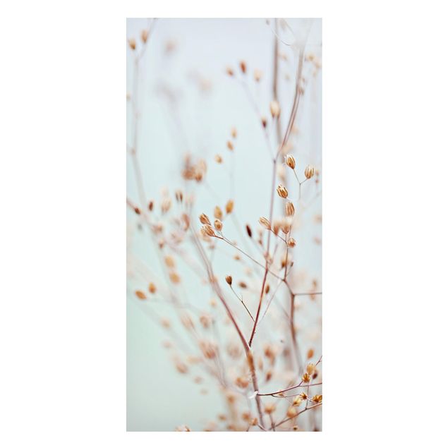 Magneetborden Pastel Buds On Wild Flower Twig