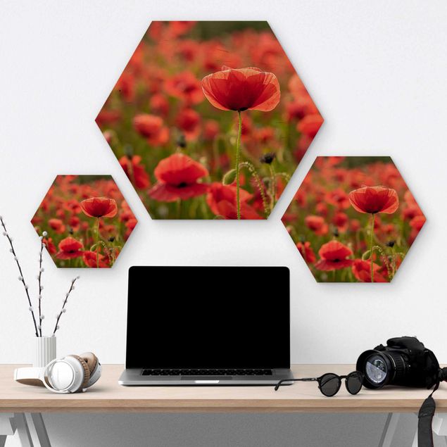 Hexagons houten schilderijen Poppy Field In Sunlight