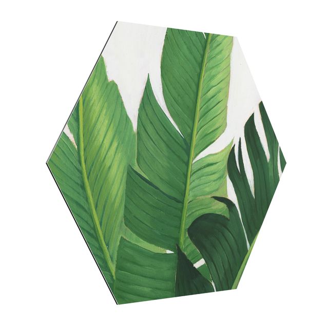 Hexagons Aluminium Dibond schilderijen Favorite Plants - Banana