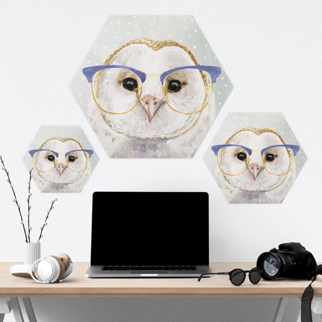 Hexagons Forex schilderijen Animals With Glasses - Owl