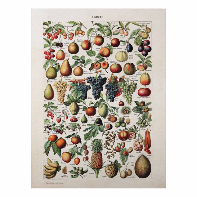 Aluminium Dibond schilderijen Vintage Board Fruits