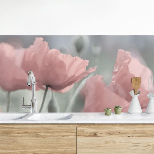 Achterwand voor keuken bloemen Picturesque Poppy