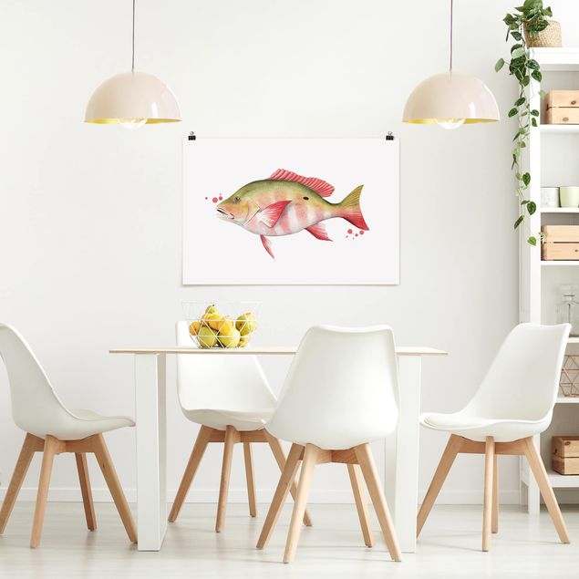 Posters Color Catch - Northern Red Snapper