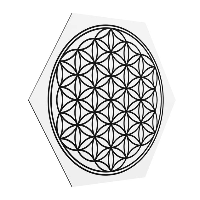 Hexagons Aluminium Dibond schilderijen Flower of Life