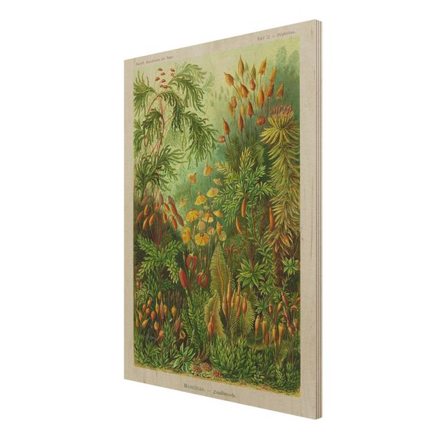 Houten schilderijen Vintage Board Moss