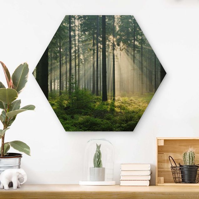 Hexagons houten schilderijen Enlightened Forest