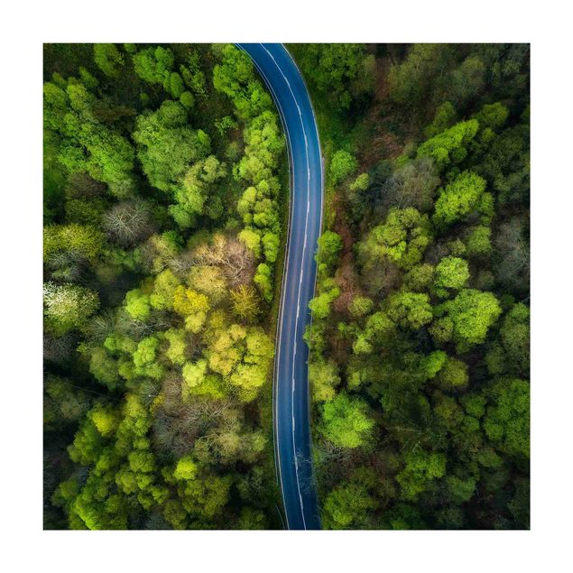 groen vloerkleed Aerial Image - Paved Road In the Forest