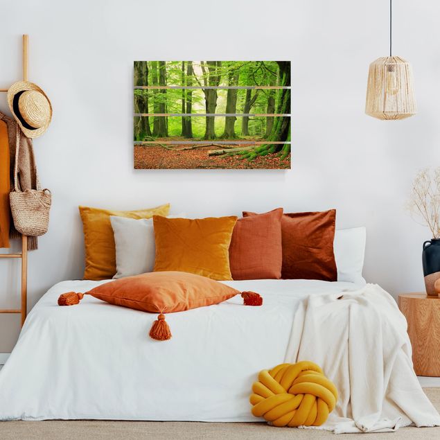 Houten schilderijen op plank Mighty Beech Trees