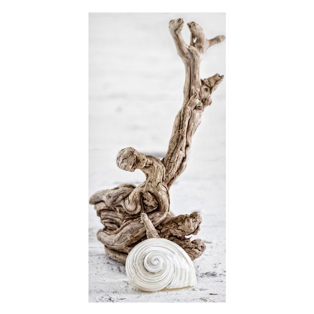Magneetborden White Snail Shell And Root Wood