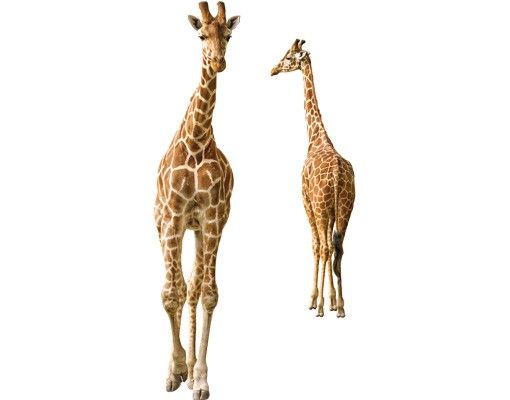 Raamstickers Two Giraffes