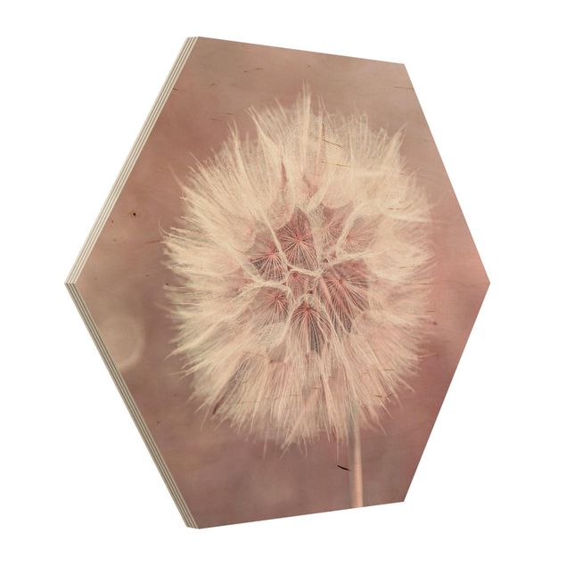 Hexagons houten schilderijen Dandelion Pink Bokeh