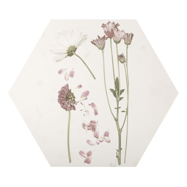 Hexagons Aluminium Dibond schilderijen Herbarium In Pink II