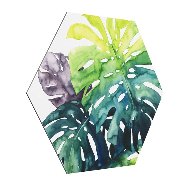 Hexagons Aluminium Dibond schilderijen Exotic Foliage - Monstera