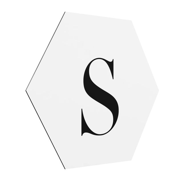 Hexagons Aluminium Dibond schilderijen Letter Serif White S