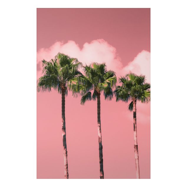 Aluminium Dibond schilderijen Palm Trees Against Sky Pink