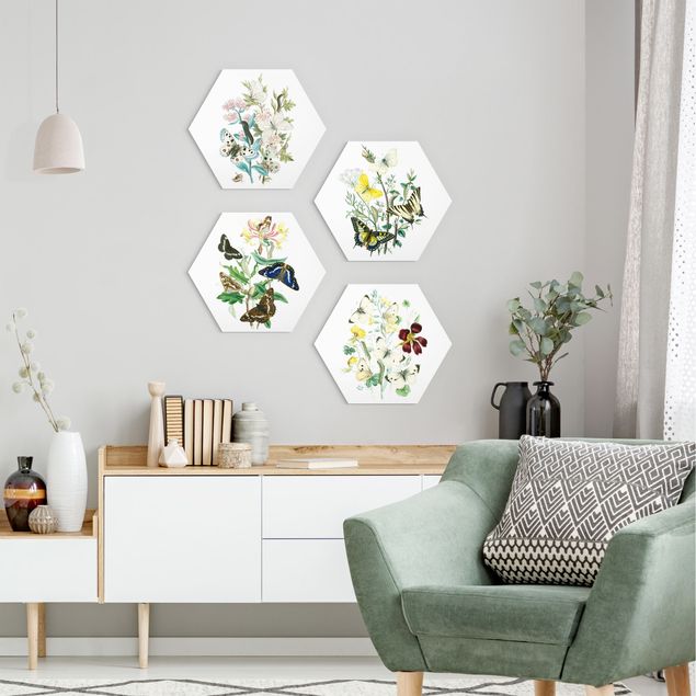 Hexagons Forex schilderijen - 4-delig British Butterflies Set II