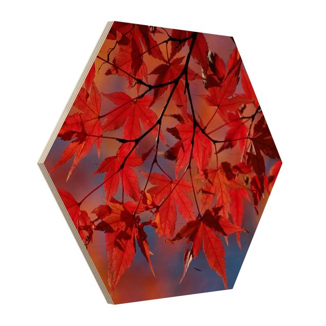 Hexagons houten schilderijen Red Maple