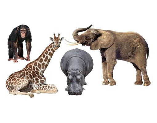 Muurstickers dieren No.406 African Safari Set