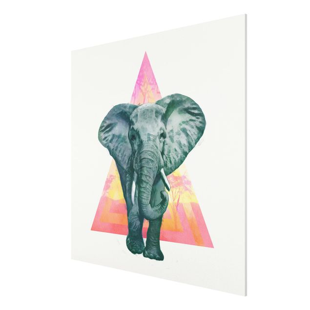 Forex schilderijen Illustration Elephant Front Triangle Painting