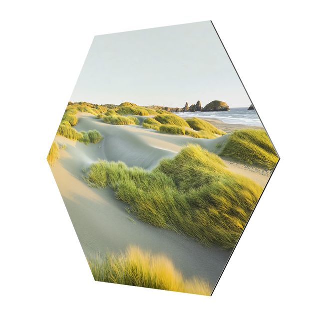 Hexagons Aluminium Dibond schilderijen Dunes And Grasses At The Sea