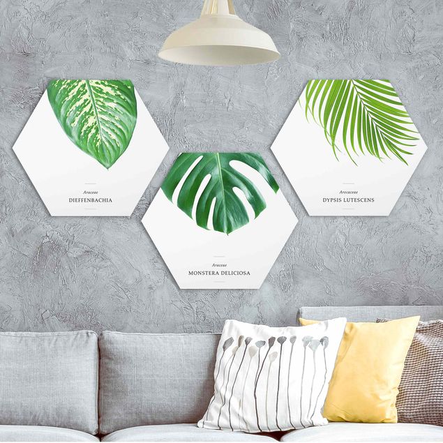 Hexagons Aluminium Dibond schilderijen - 3-delig Tropical Leaves