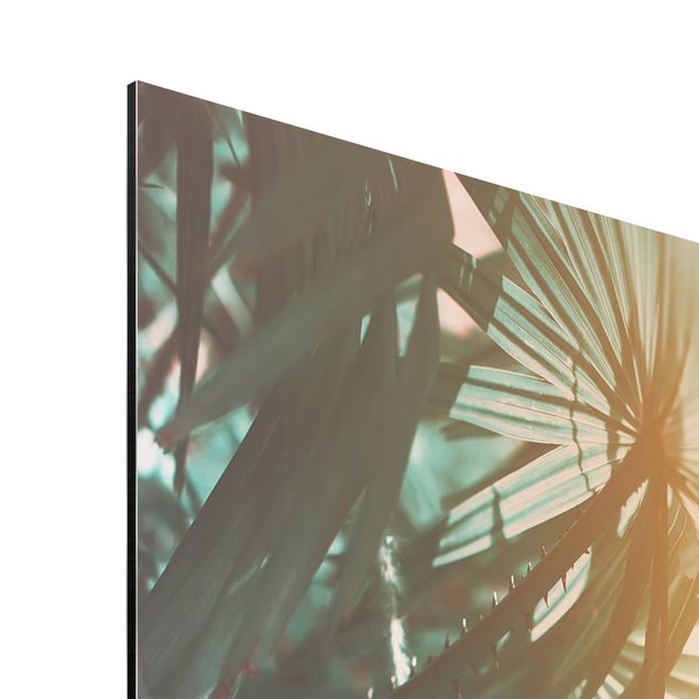 Aluminium Dibond schilderijen Tropical Plants Palm Trees At Sunset