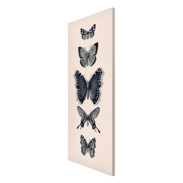 Magneetborden Ink Butterflies On Beige Backdrop