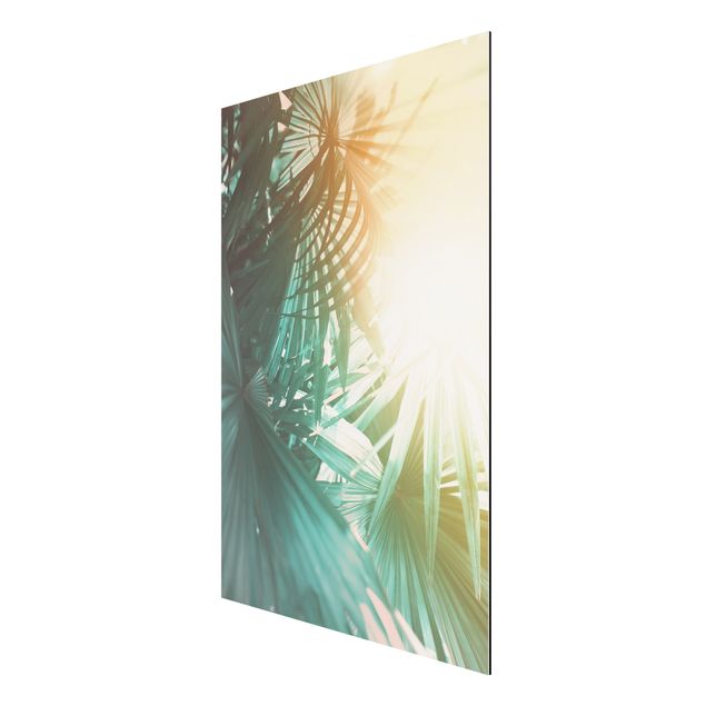Aluminium Dibond schilderijen Tropical Plants Palm Trees At Sunset