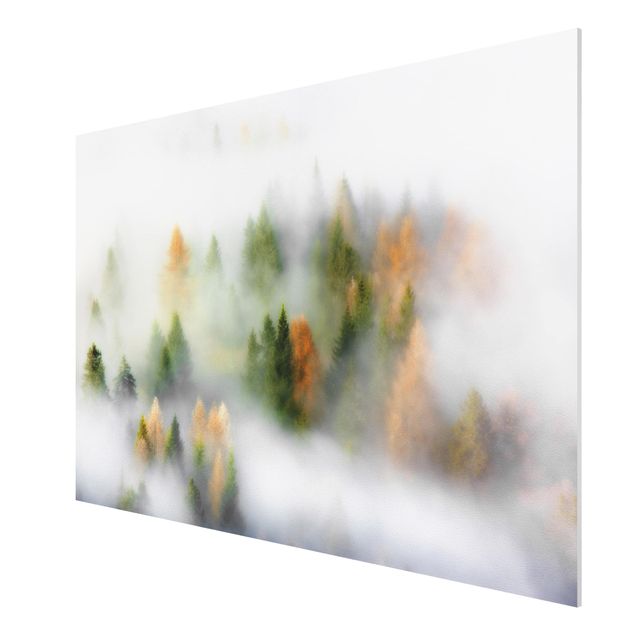 Forex schilderijen Cloud Forest In Autumn