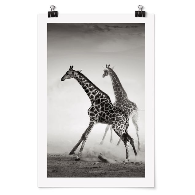 Posters Giraffe Hunt
