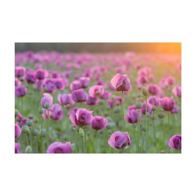 natuurlijk vloerkleed Purple Poppy Flower Meadow In Spring