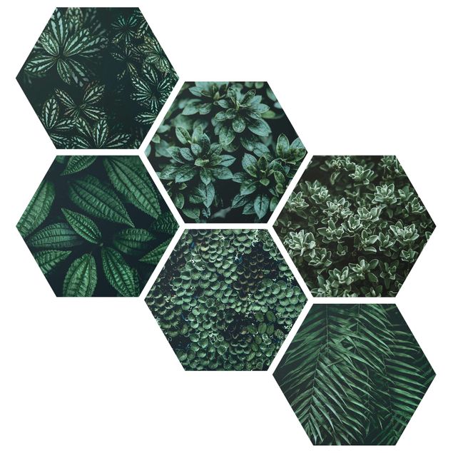 Hexagons Forex schilderijen - 6-delig Green Leaves Set II