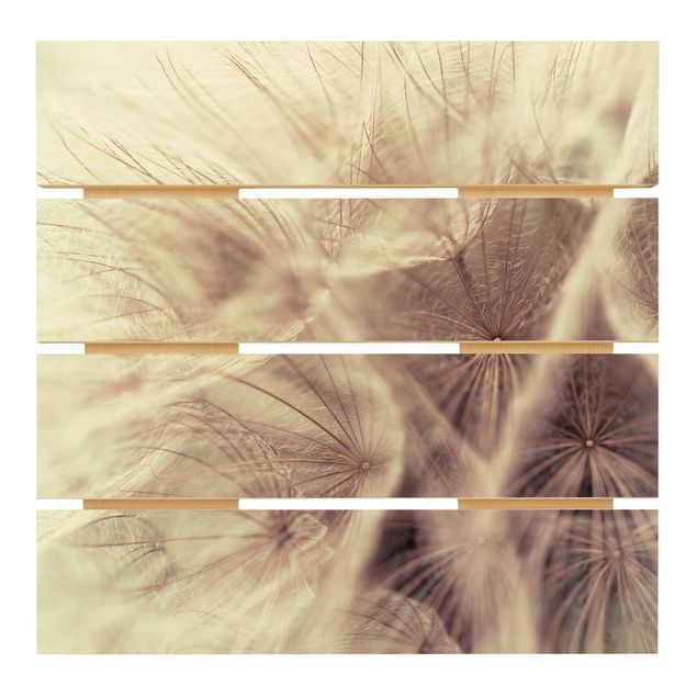 Houten schilderijen op plank Detailed Dandelion Macro Shot With Vintage Blur Effect