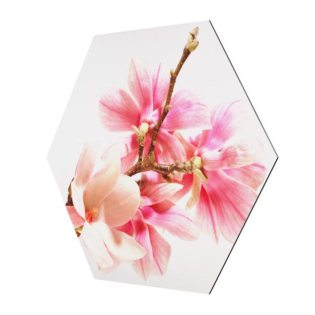 Hexagons Aluminium Dibond schilderijen Magnolia Blossoms