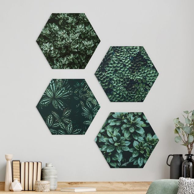 Hexagons Aluminium Dibond schilderijen - 4-delig Green Leaves Set I