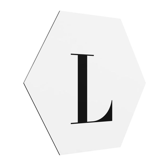 Hexagons Aluminium Dibond schilderijen Letter Serif White L