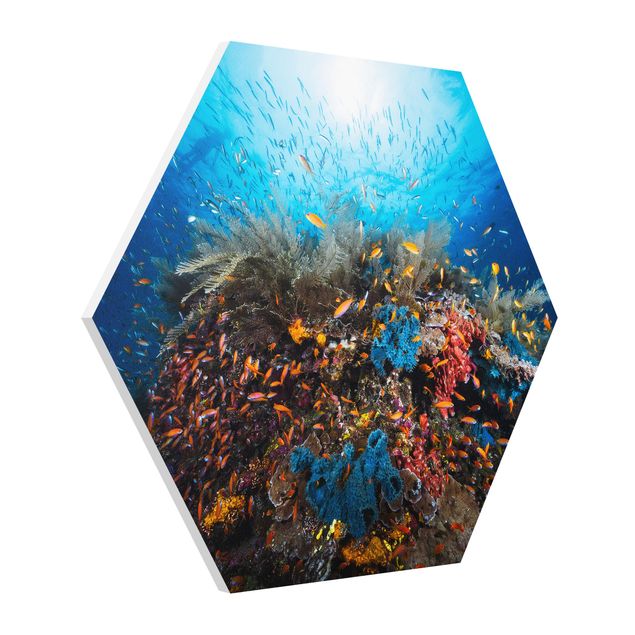 Hexagons Forex schilderijen Lagoon Underwater