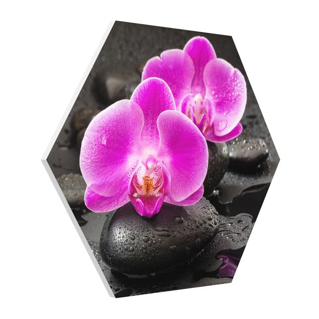 Hexagons Forex schilderijen Pink Orchid Flowers On Stones With Drops