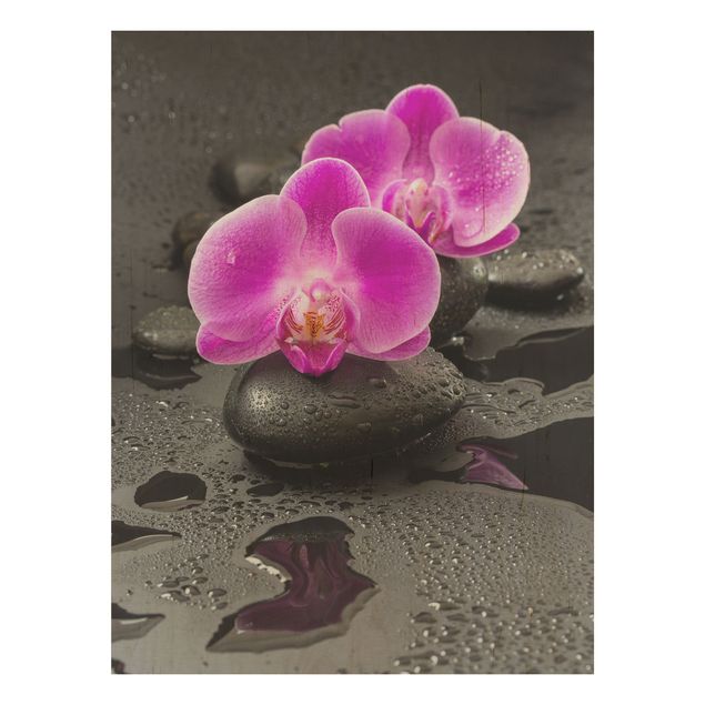 Houten schilderijen Pink Orchid Flower On Stones With Drops