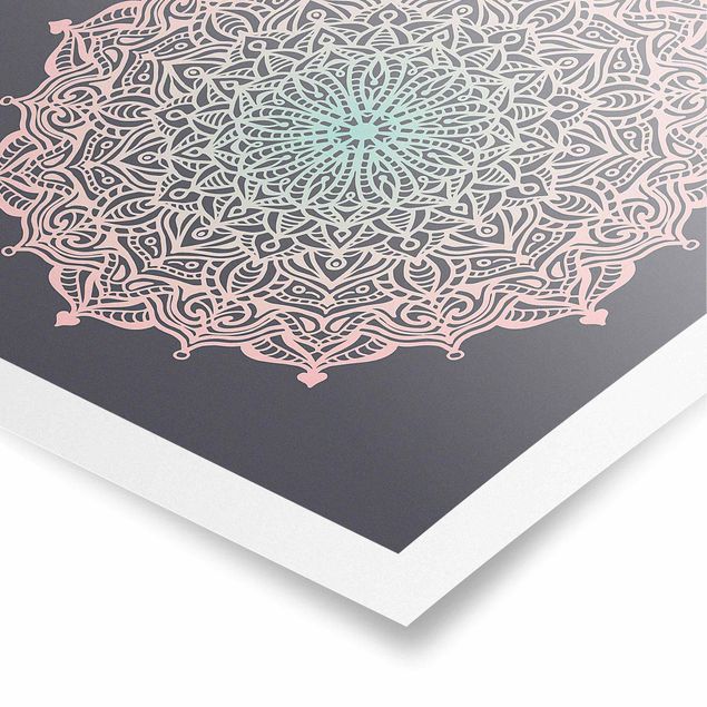 Posters Mandala Ornament In Rose And Blue