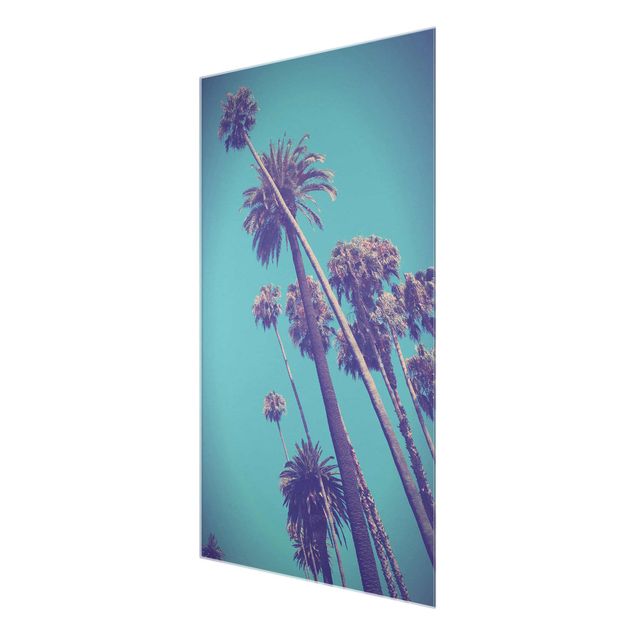 Glasschilderijen Tropical Plants Palm Trees And Sky
