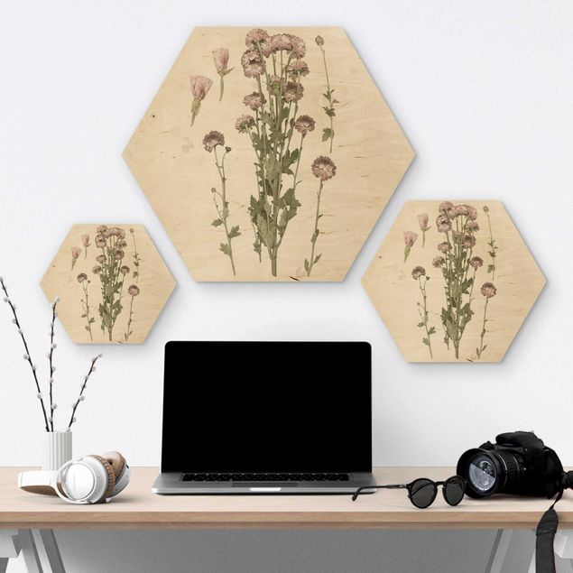 Hexagons houten schilderijen Herbarium In Pink I