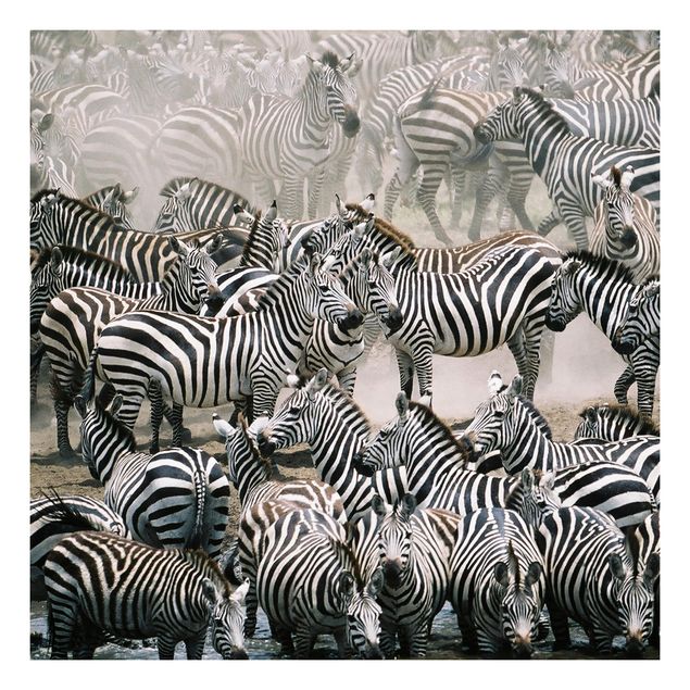 Meubelfolie IKEA Lack Tafeltje Zebra Herd